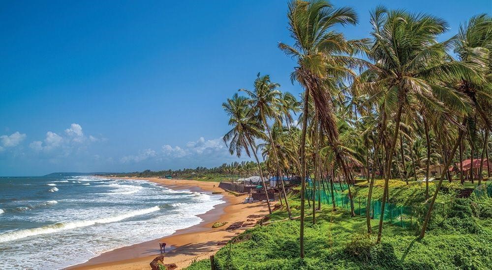 Goa beaches