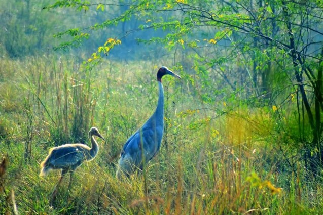 Wildlife sanctuary