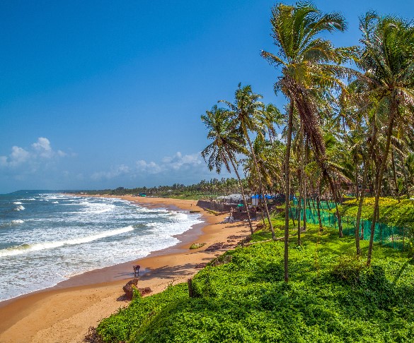 Candolim Beach