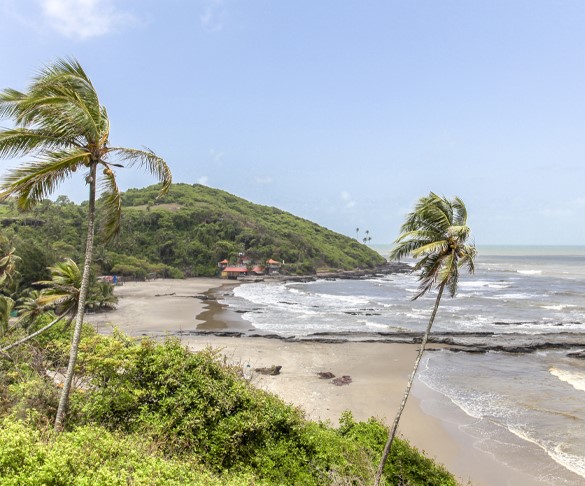 Cavelossim Beach