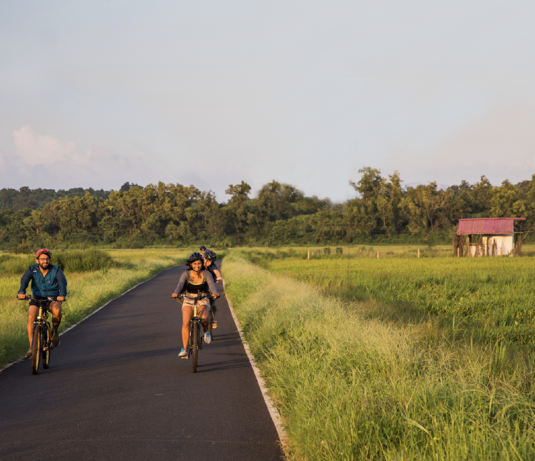 Live Ebike Tours